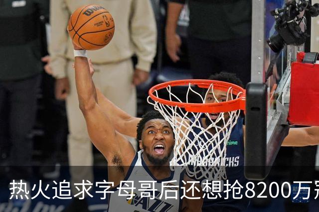 热火追求字母哥后还想抢8200万冠军侧翼，却被老鹰半路截胡