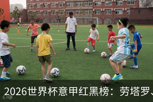 2026世界杯意甲红黑榜：劳塔罗、普利西奇、CDK谁是笑到最后的人
